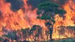 Bushfire Royal Commission findings to be publicly released today