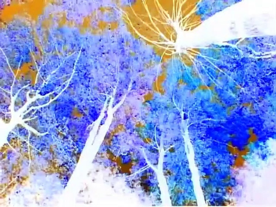 Baby Monet in G Major [Part 2] - video Dailymotion