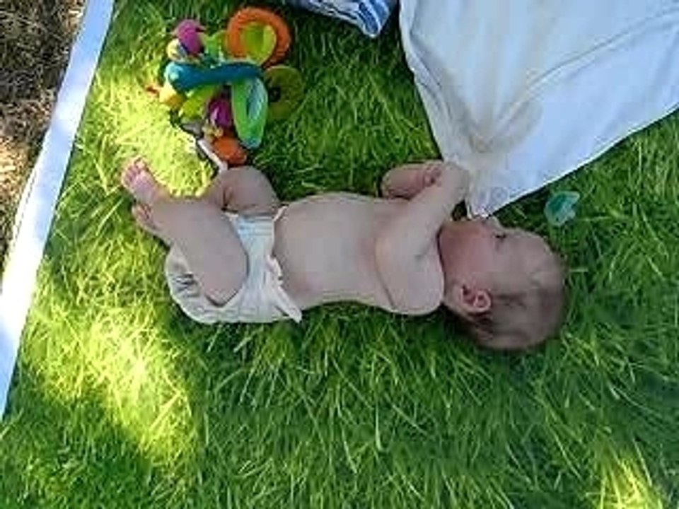 léo sur coussin herbe