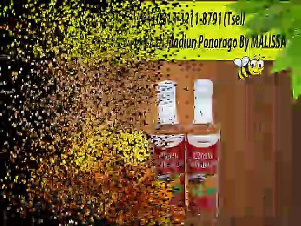 PROMO !! WA : 0813-3211-8791 (Tsel)	Produsen Penjual Sarang Madu Di Madiun Ponorogo By MALISSA,