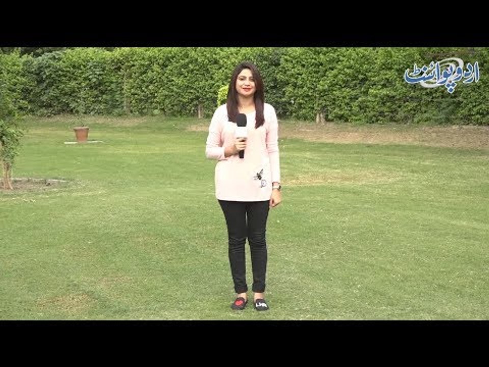 ڈاکٹر آپ کو تین گولیاں دے،  ہر آدھے گھنٹے بعد...