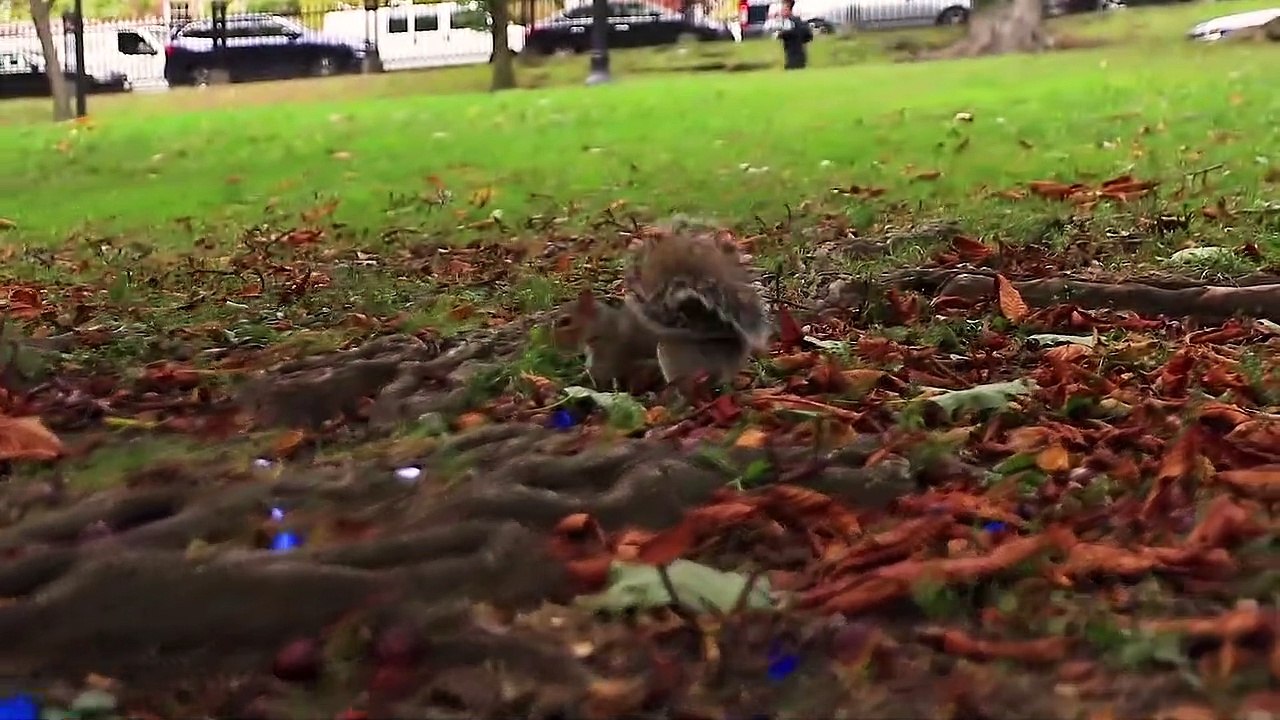 Bsm productions