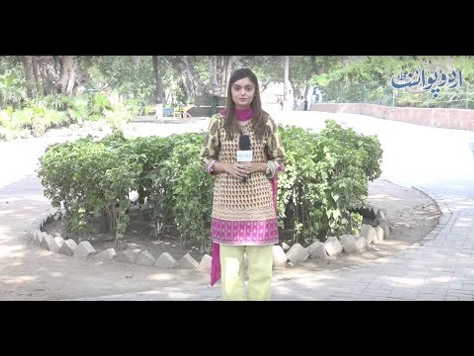 Woh Kaunsi Sabzi Hai Jis Main Talla Aur Chabbi Dono Ka Naam Atta Hai?