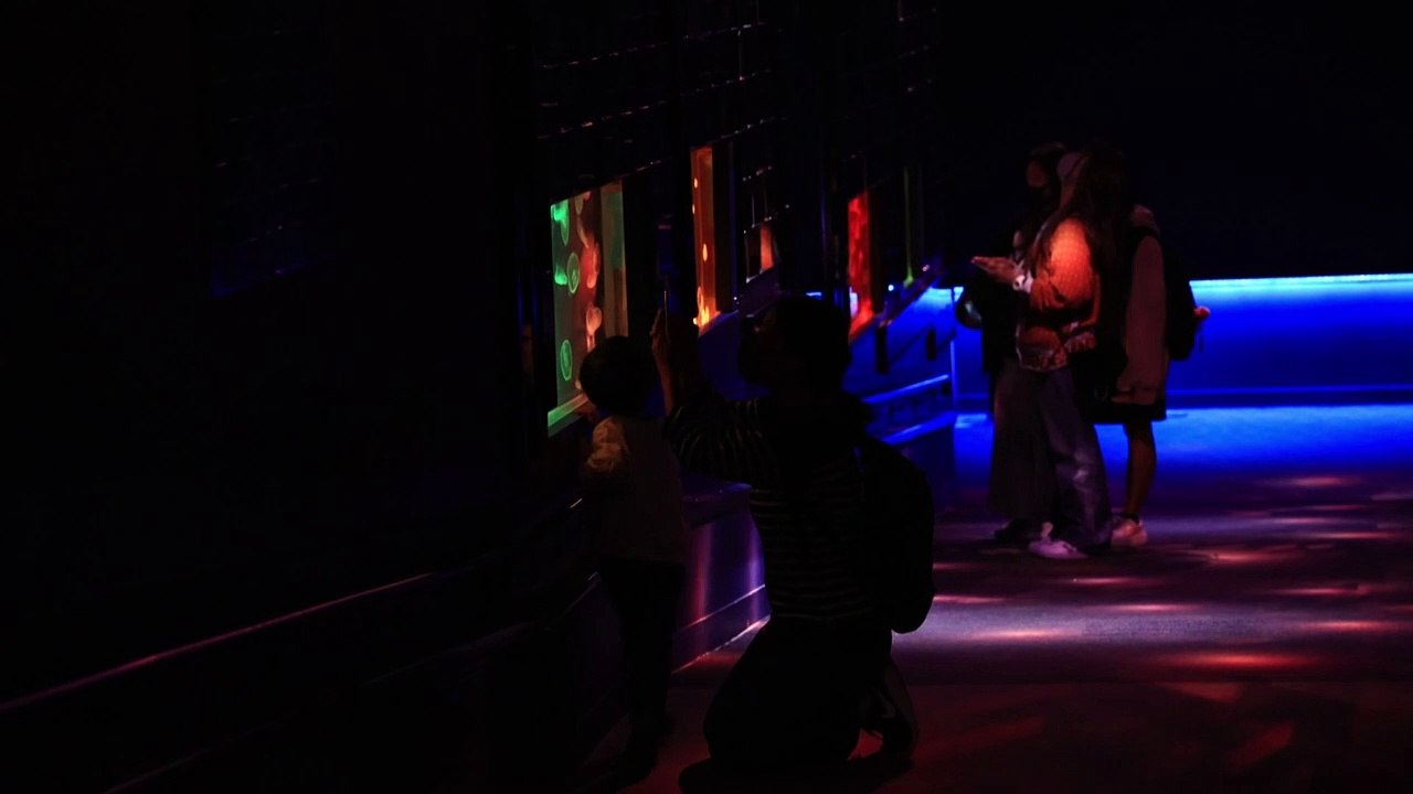 Fantômes ou méduses ? L'aquarium de Tokyo se transforme pour Halloween