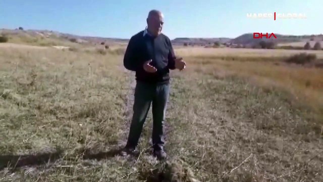 Sivas'ta silahla vurulmuş vaşak ölüsü bulundu: İnsan olan kıymaz bu hayvana