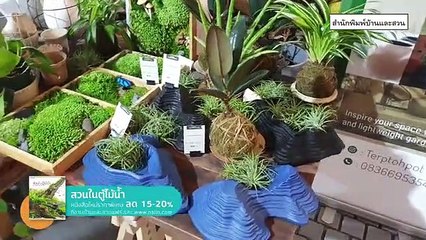 Baanlaesuan Fair Aquascaping Contest 2020