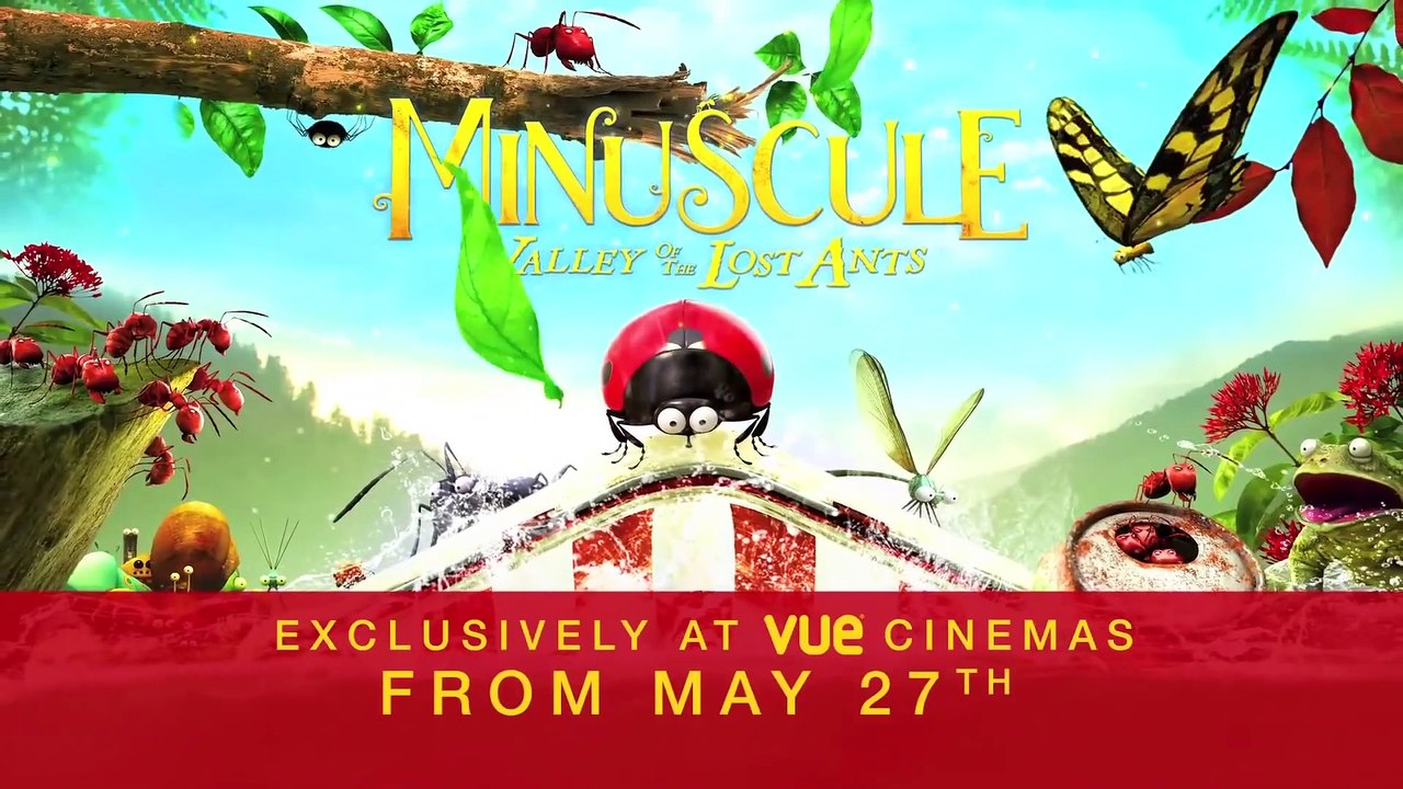 Fight Black Ants And Red Ants