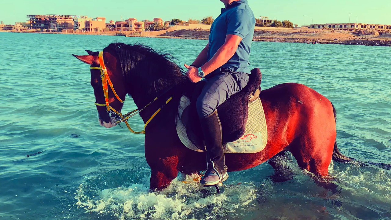 Herbstferien Ägypten Reiten letzter Tag 1080