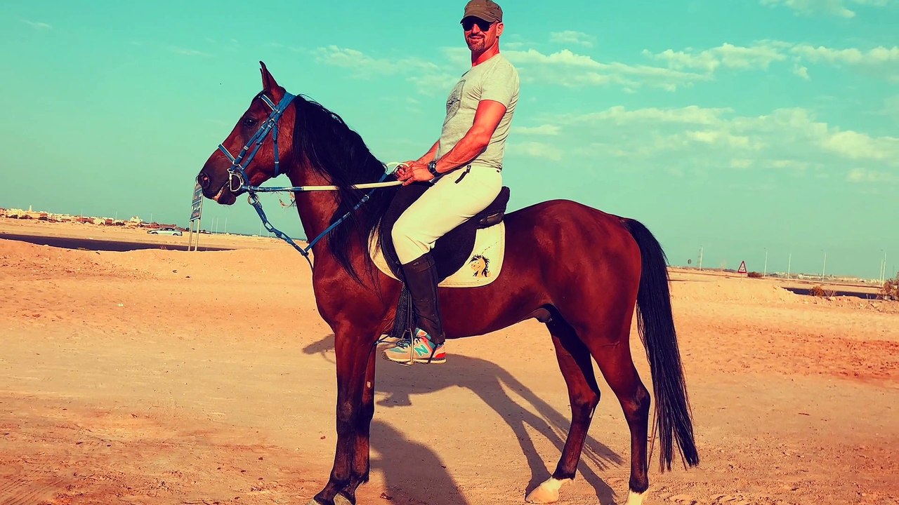 Herbstferien Ägypten Reiten 3. Tag