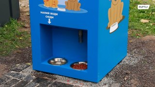 Пластик в автомат - бездомный пес рад