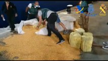 Intervenida más de una tonelada de cocaína oculta entre sacos de maíz en un barco proveniente de Brasil
