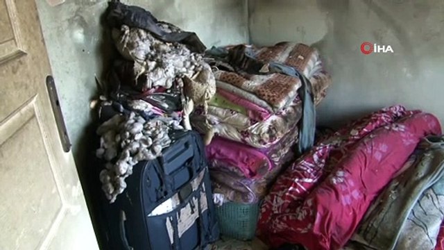 - Elazığ’daki yangından ikinci üzücü haber...4 yaşındaki Kağan da hayatını kaybetti- Dün prizdeki şarj aletinin patlaması sonucu çıkan ve 8 aylık Hira Nur bebeğin hayatını kaybettiği yangından ağır yaralı olarak ekipler tarafından ku...