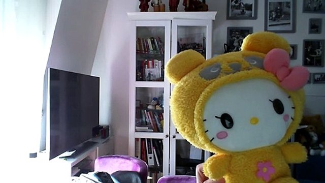 Wiwi muppetshowise fight