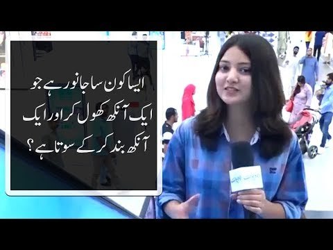 ایسا کون سا جانور ہے جو ایک آنکھ کھول کر اور ایک آنکھ بند کرکے سوتا ہے؟