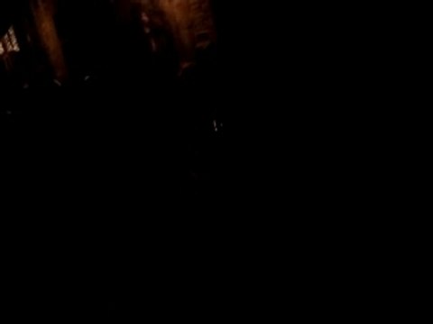 12 - Lundi gras - Fadas - Carnaval 2008