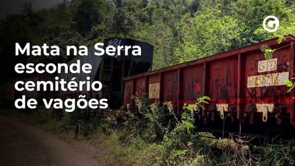 Mata em área privada da Serra esconde cemitério de vagões