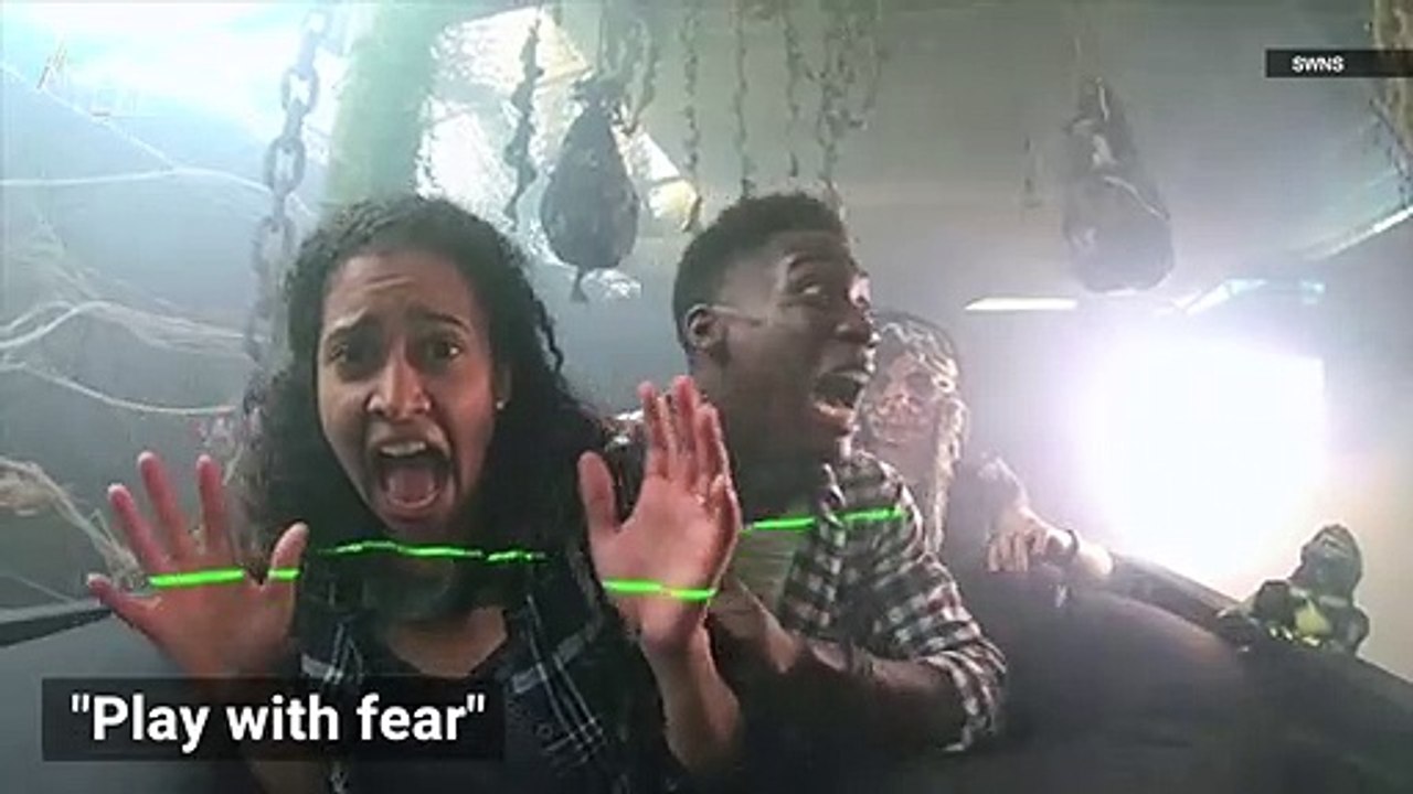 Haunted House Experiment Reveals Humans Like to...