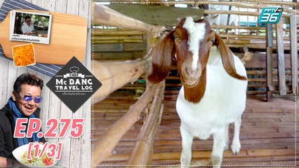 McDang’s Travelogue | ปุ๋ยมูลแพะ สู่ฟาร์มผักอินทรีย์ | 31 ต.ค. 63 (1/3)