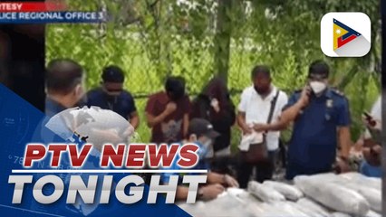 P19.4-M marijuana seized in Angeles City