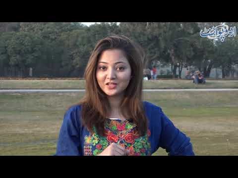 Jab Soha Choudhary Kay Paas Common Sense Ka Koi Sawal Na Bachay Tou Kia Hota Hai?