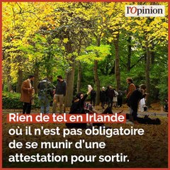 Irlande, Allemagne... les approximations du gouvernement pour justifier le reconfinement