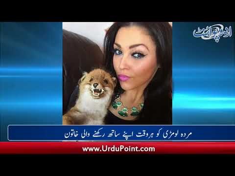 Murda Fox Ko Har Waqt Apnay Sath Rakhnay Wali Khatoon...