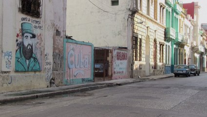 Avanza ley en Cuba para castigar el maltrato animal