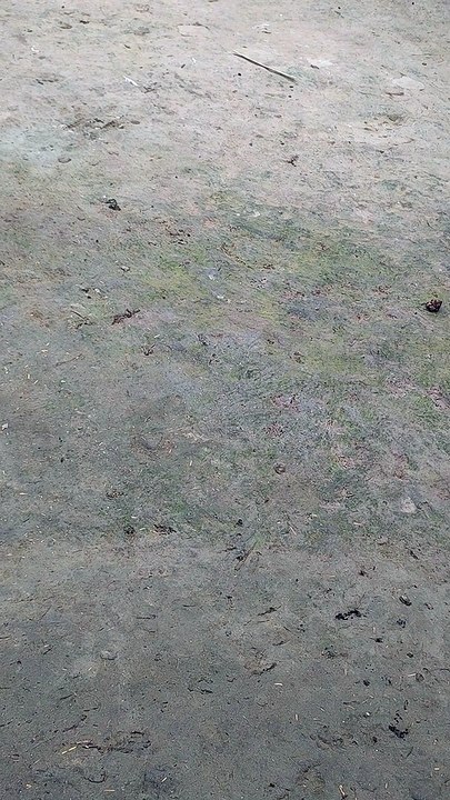 how to 1k subscribers, how to 1k subscribers 2020, how to 1k subscribers hindi, how to make 1k subscribers on youtube, how to get 1k subscribers in 1 day, how to reach 1k subsers in 1 m