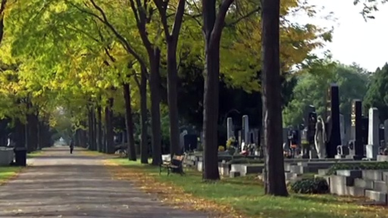 Schöner Tod: Das Bestattungsmuseum in Wien
