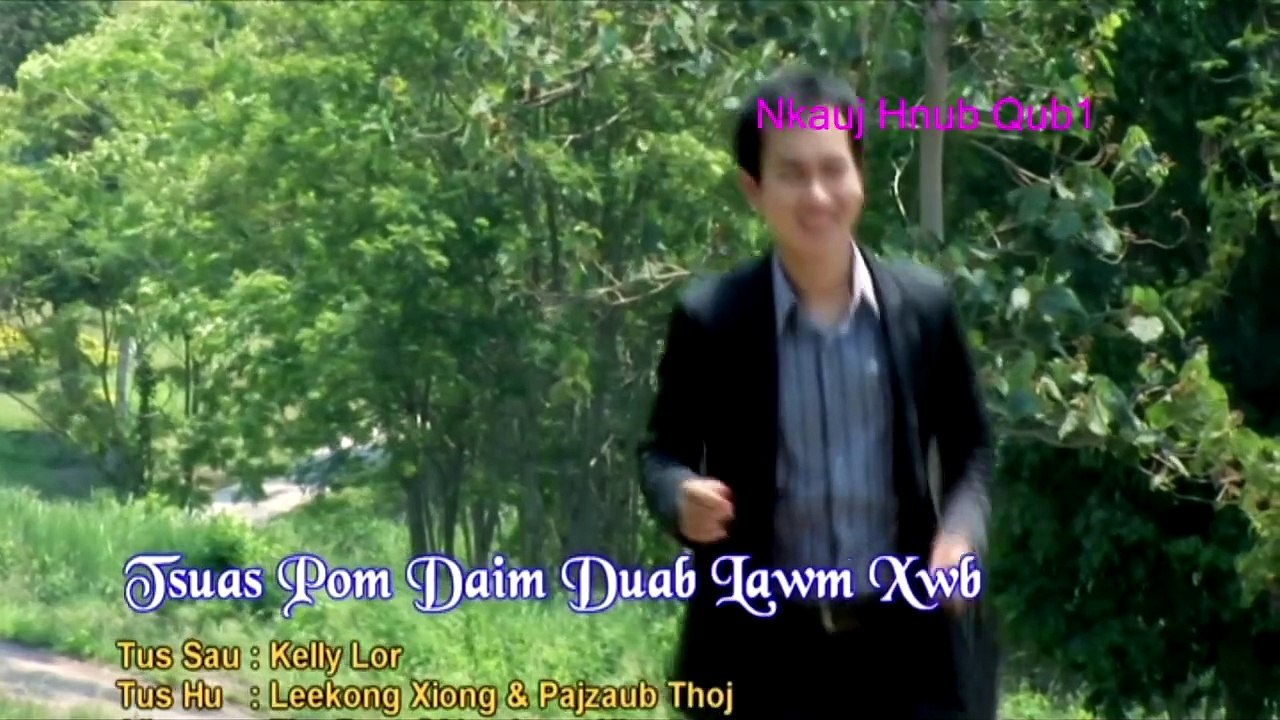 Tsuas pom daim duab lawm xwb by Lee KongXiong vs Paj Zaub Thoj