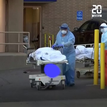 Vers des pandémies plus fréquentes et plus meurtrières ?