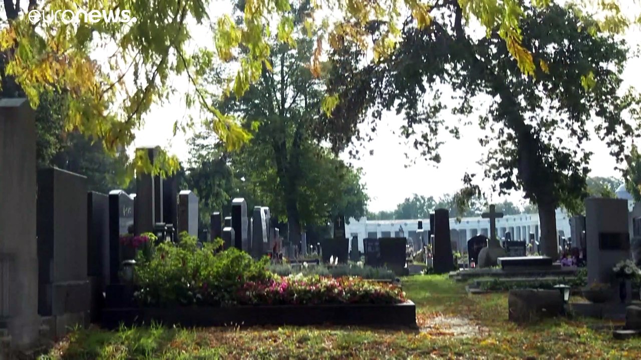 Morbider Humor am Zentralfriedhof in Wien: 'Corona-Leugner sichern uns die Jobs'
