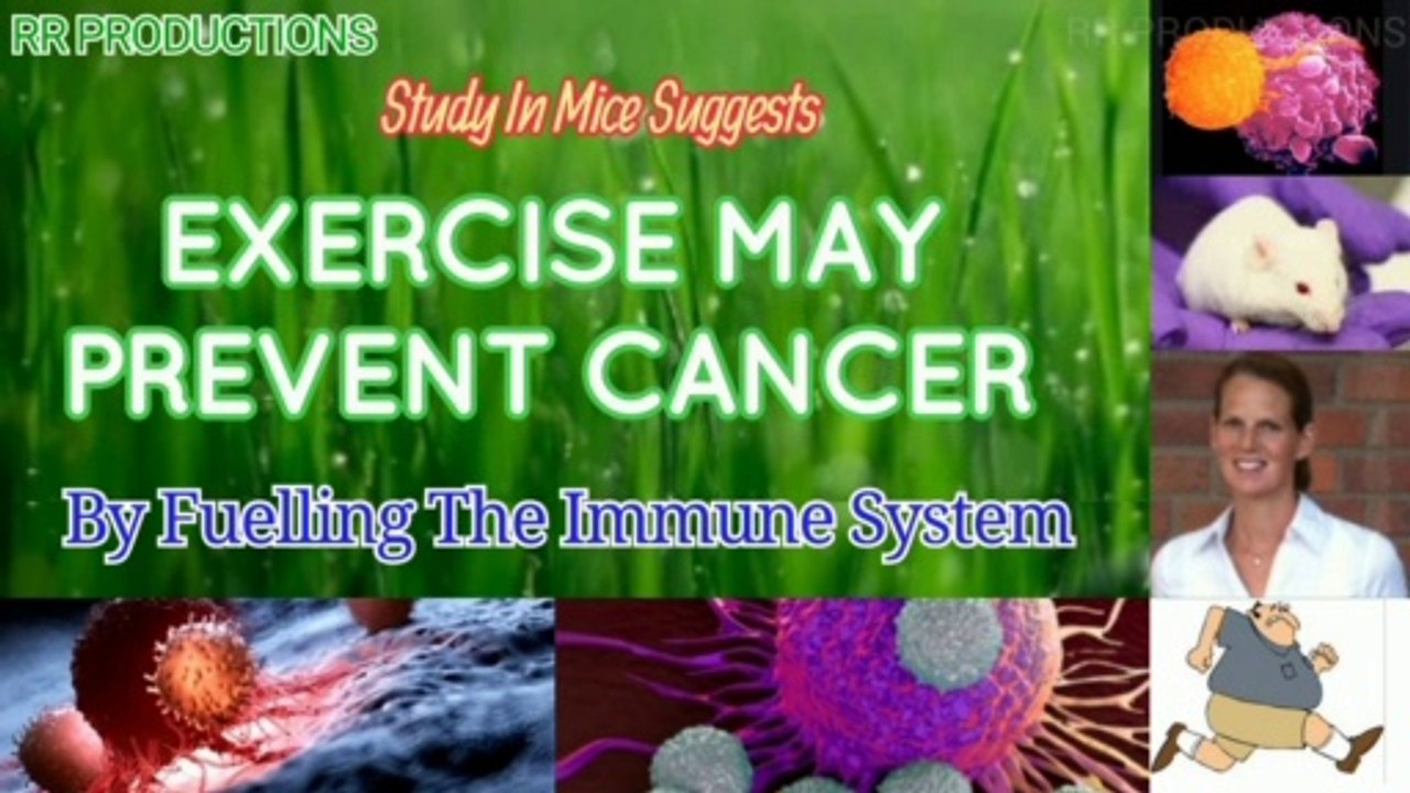 Exercise May Prevent Cancer By Fuelling The Immune System. Study In Mice Suggests.