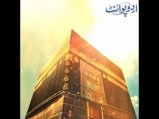 Nothing Can Fly Over the Khana Kaba, Scientists Revealed the Reason Behind it