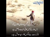Interesting Information about Thar and its Desert