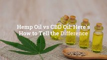 Hemp Oil vs CBD Oil: Here’s How to Tell the Difference