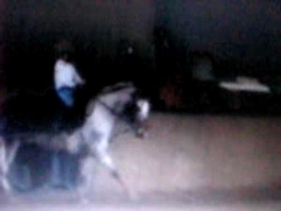 Zoé au galop