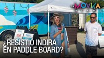 Hicimos paddle board y más en Key Biscayne -  La Movida Miami - VPItv