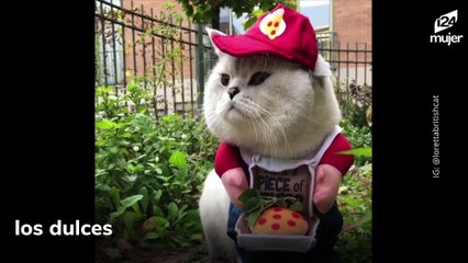 Llegó Halloween y así lo disfrutan los animalitos