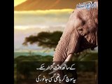 Kids Urdu Story: Dost Wo Jo Museebat Mein Kaam Aye, Kisi Jungle Mein Ek Hathi Rehta Tha...