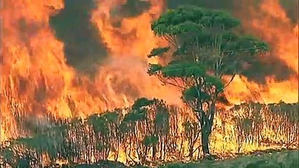 Royal Commission releases recommendations to govt