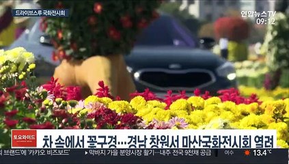 자동차 타고 가을 향기에 풍덩…마산국화전시회 개막