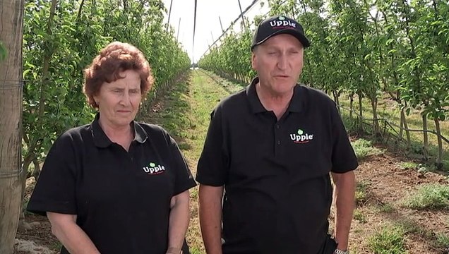 Qld family bottling apples to create a sugar-free snack