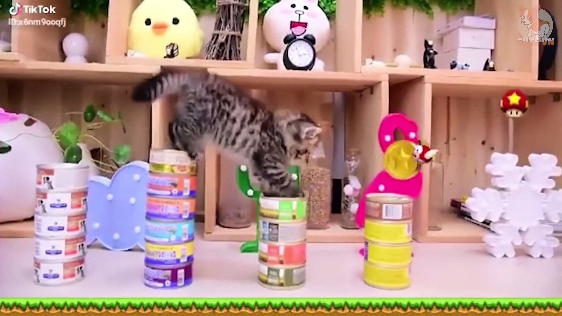 ⁣Pets - Funny and Cute Pets Compilation #6