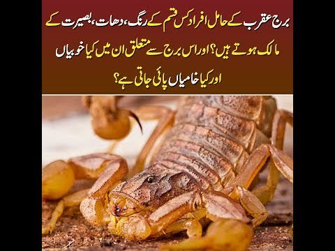 What are the qualities of horoscope sign Scorpio? what colors & stones suit them?