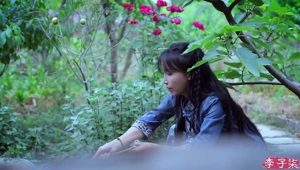 The life of wheat! Which is your favorite food made from wheat关于小麦的一生，你最爱吃哪种面食？丨Liziqi Channel