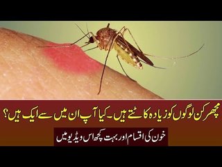 What kind of people get biten by mosquitos more often. Types of blood and much more in video