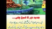 Kids Urdu Story: Jadeed Daur Ka Sheikh Chilli, ek din sheikh chilli ko us ki maan ne usay...