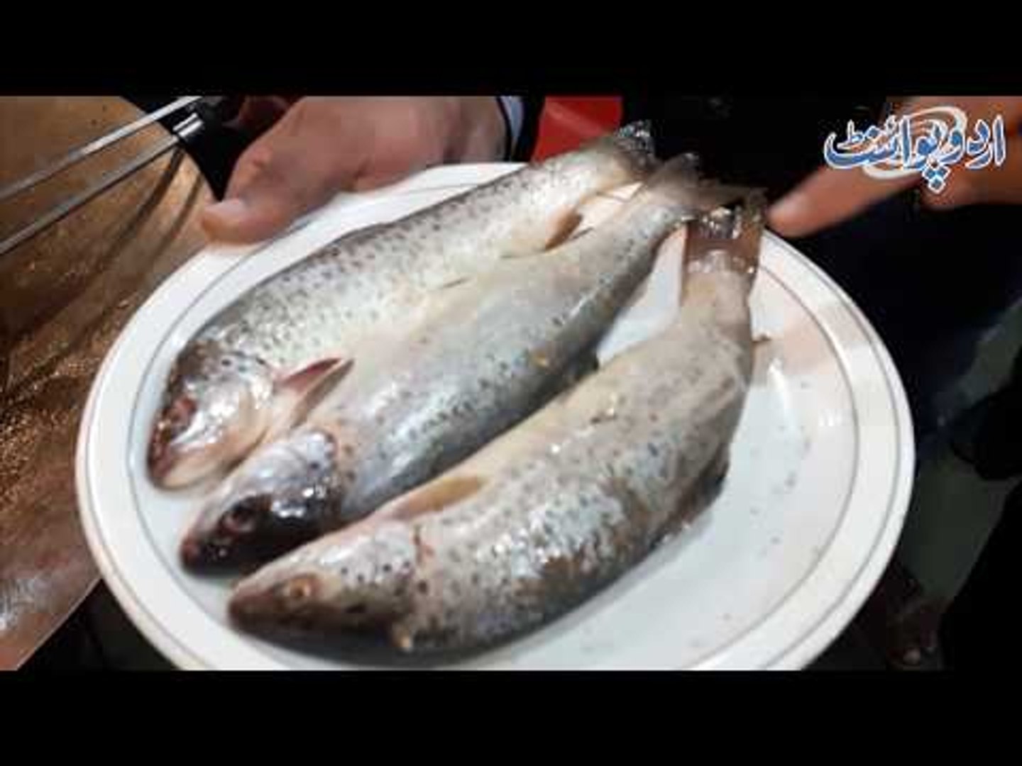Trout Fish Name In Pakistan
