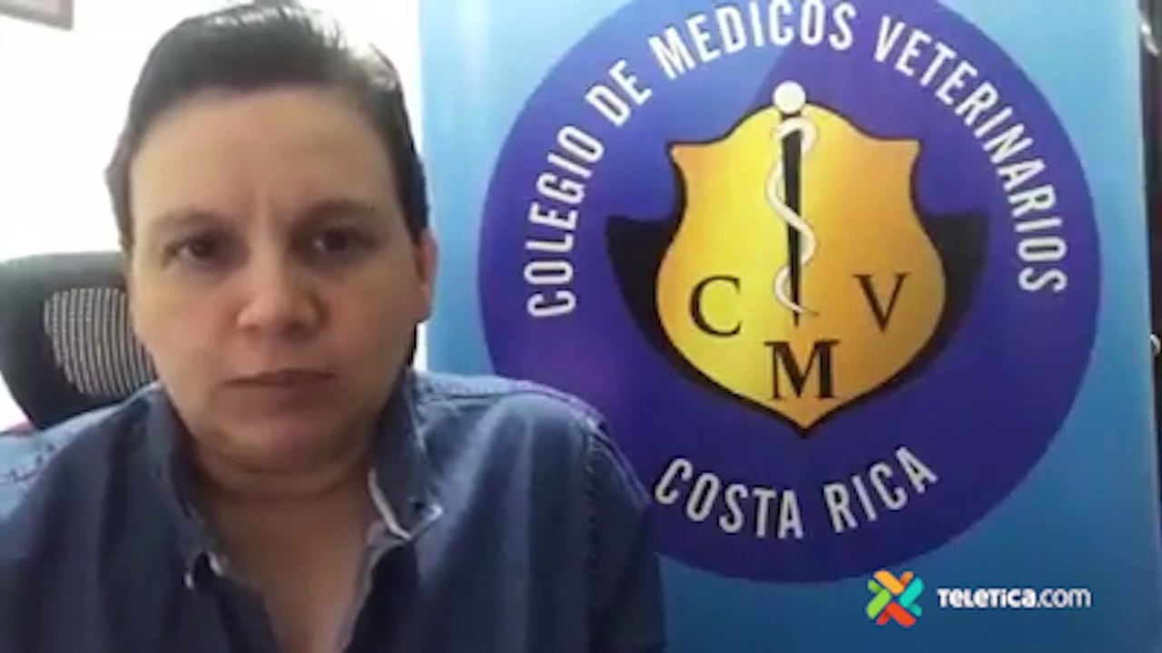tn7-reaccion-colegio-medicos-veterinarios-301020